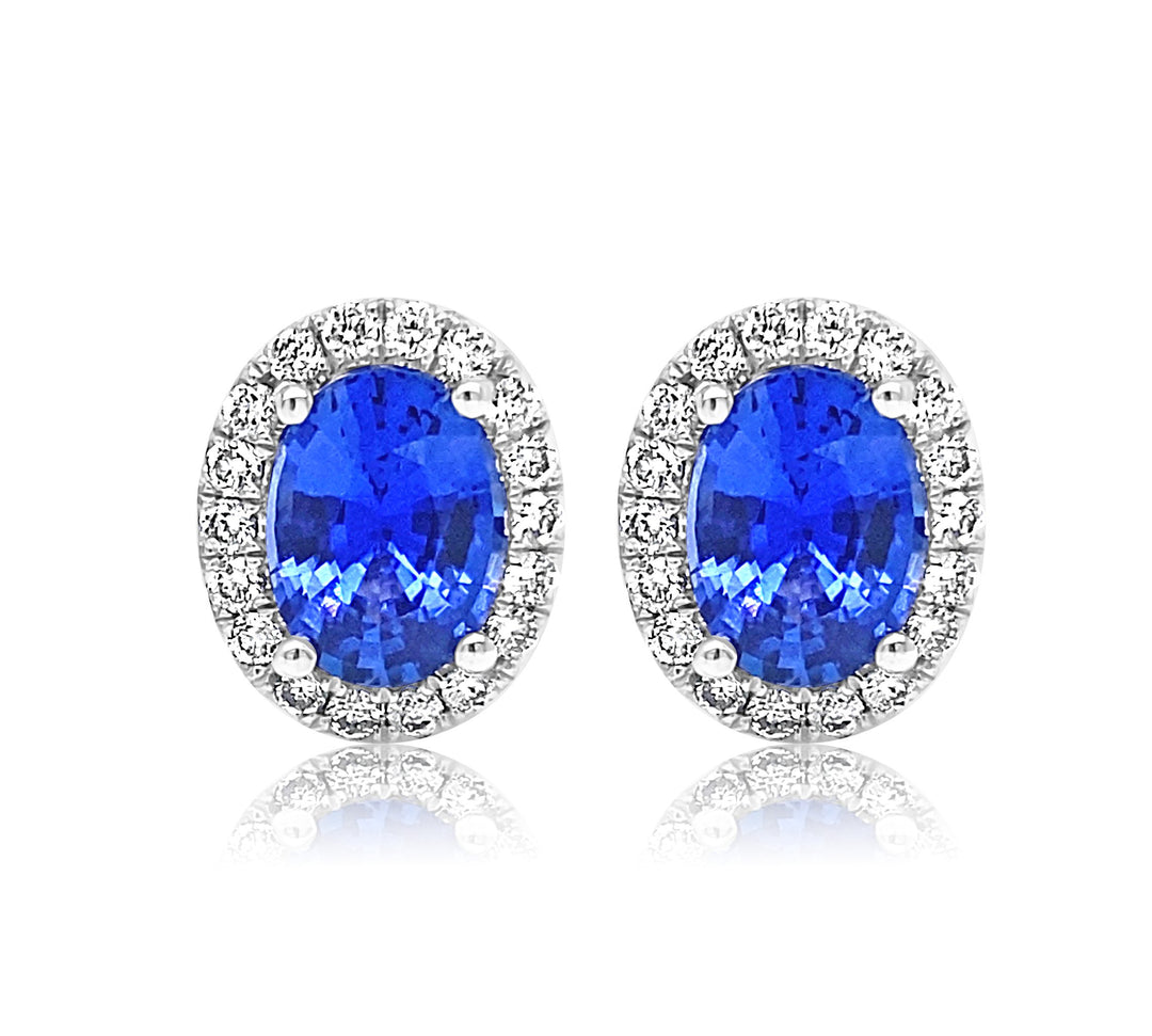 Diamond & Blue Sapphire Earrings - YJC2525E